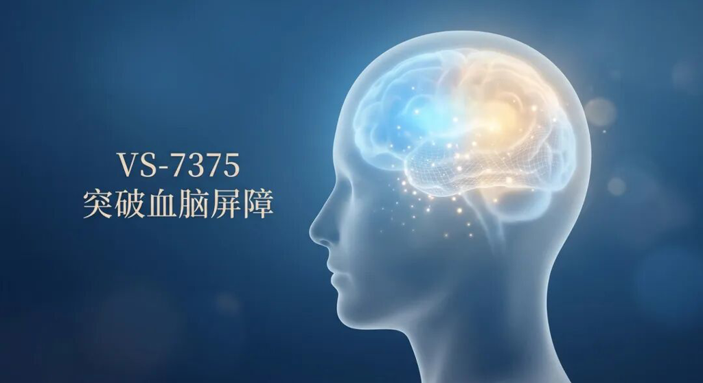 一张充满人文关怀的抽象医学插画:半透明的玻璃质感头部轮廓中,大脑区域正亮起治愈的蓝色与暖金色光芒,象征着新药 VS-7375 成功突破血脑屏障,为 KRAS G12D 突变的肺癌脑转移患者点燃生命希望。