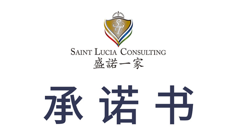 盛诺一家出国看病行业承诺书